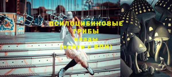 гашик Армянск