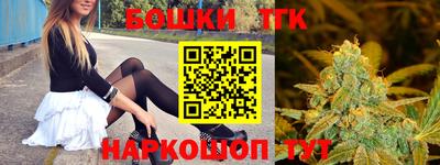 гашик Дубна