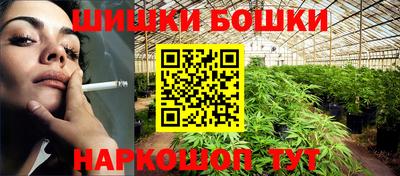 гашик Дубна