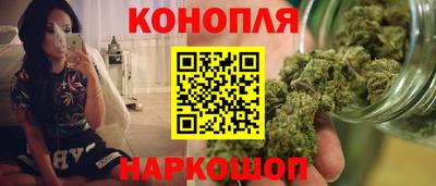 гашик Дубна