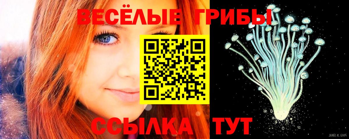 Псилоцибиновые грибы мухоморы  Вход с VPN  Бутурлиновка 