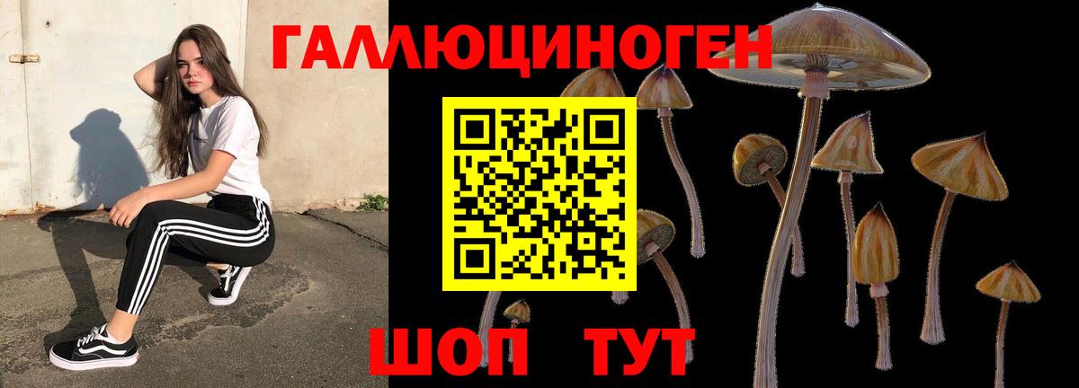 Галлюциногенные грибы ЛСД Бутурлиновка